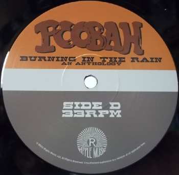 2LP Poobah: Burning In The Rain An Anthology