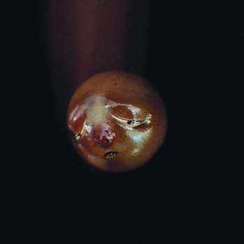 Album Poolblood: Mole