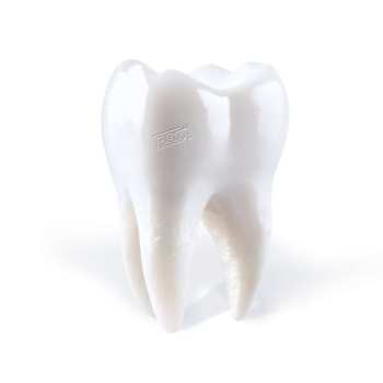 Album Porij: Teething
