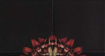 CD Portion Control: Pure Form