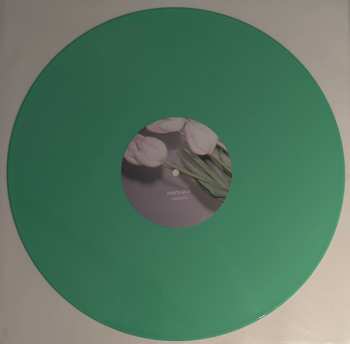 LP Portland: Champain CLR