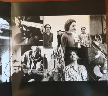 LP Powderfinger: Double Allergic CLR