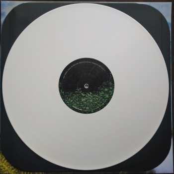 LP Power Supply: In The Time Of The Sabre-toothed Tiger