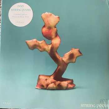 POZI: Smiling Pools