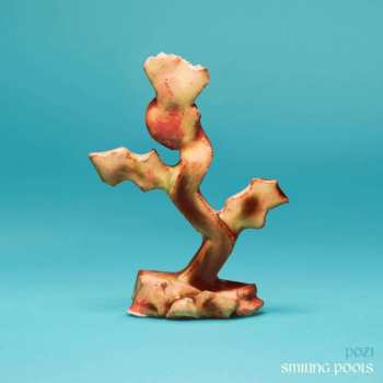 CD POZI: Smiling Pools