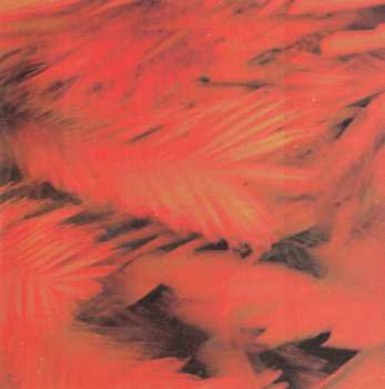 CD Prezioso Feat. Marvin: Back To Life