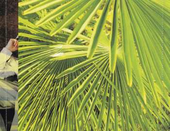 CD Prezioso Feat. Marvin: Back To Life