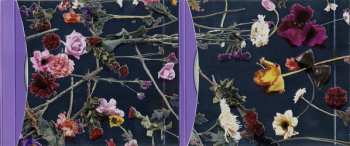 3CD/DVD Prince And The Revolution: Purple Rain DLX