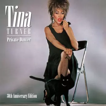 Tina Turner: Private Dancer