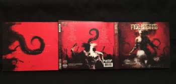 2CD Projected: Ignite My Insanity
