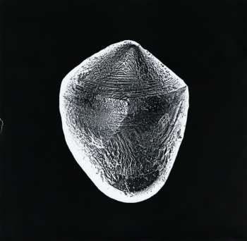 2LP Propaganda: Remix Encounters