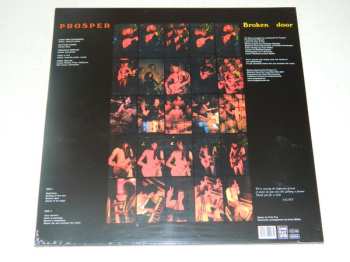 LP Prosper: Broken  Door