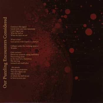 CD Psyopus: Our Puzzling Encounters Considered
