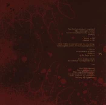 CD Psyopus: Our Puzzling Encounters Considered