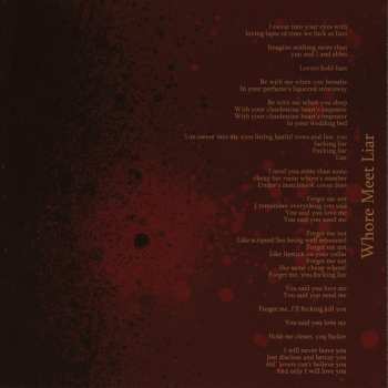CD Psyopus: Our Puzzling Encounters Considered