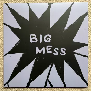 Public Body: Big Mess