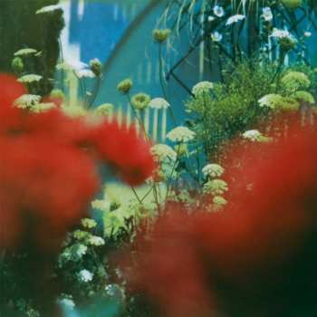 Album Pulled Apart By Horses: The Haze