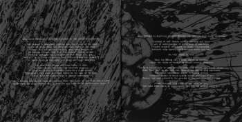 CD Putrescence: Fatal White Pustules Upon Septic Organs