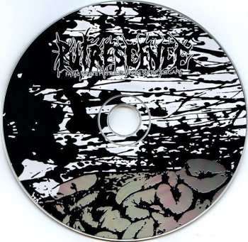 CD Putrescence: Fatal White Pustules Upon Septic Organs