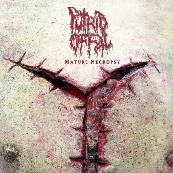 Putrid Offal: Mature Necropsy