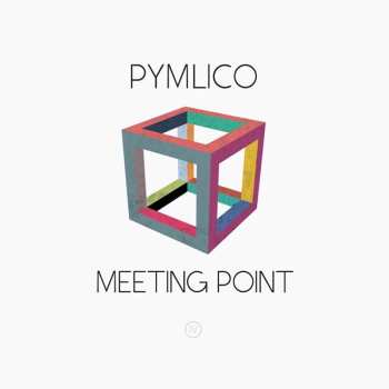 LP Pymlico: Meeting Point