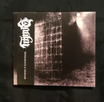 QAALM: Resilience & Despair