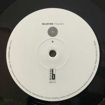 LP Qluster: Fragen