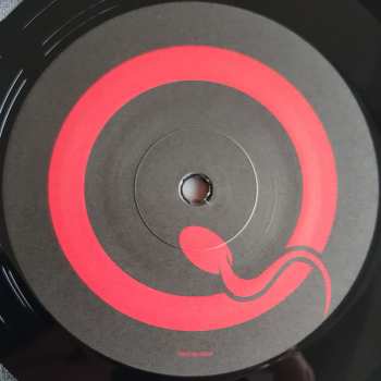 2LP Queens Of The Stone Age: Songs For The Deaf