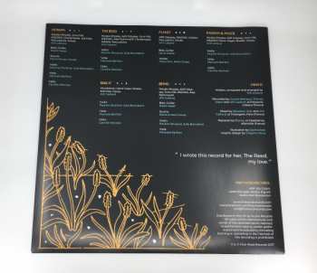 LP Quiet Dawn: Human Being: The Short Story of The Reed