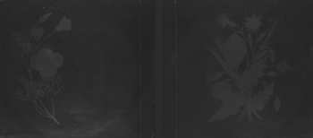 CD Rachel Bobbitt: The Ceiling Could Collapse