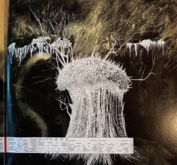 2LP Radiohead: Amnesiac