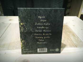 CD Raguvos: Pulsacija