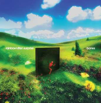 CD Rainbow Kitten Surprise: Bones