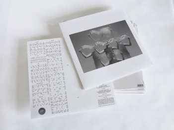 LP Raoul Vignal: The Silver Veil
