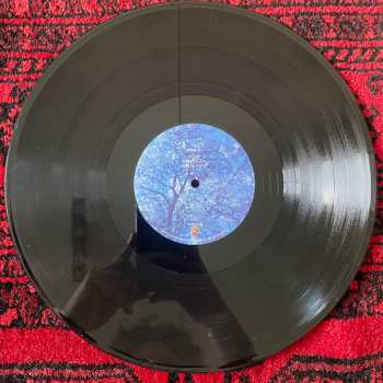 2LP Raphael Gimenes: Dinamarca