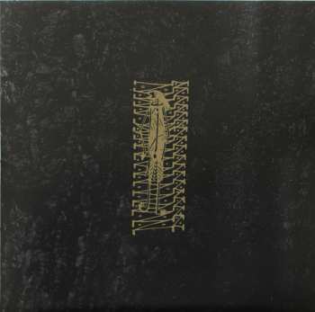 2LP/Dobozkészlet Rapoon: Raising Earthly Spirits