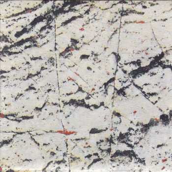 CD Rapoon: Stray LTD