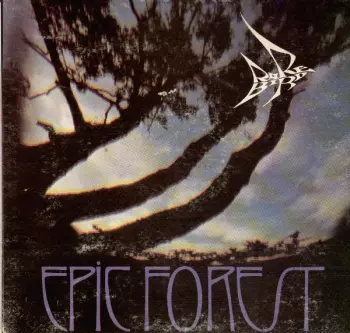 Rare Bird: Epic Forest