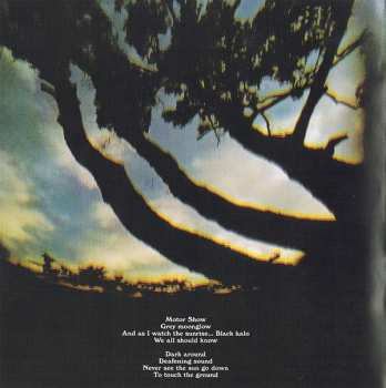 CD Rare Bird: Epic Forest