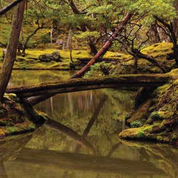 CD Rebecca Foon: Reverie