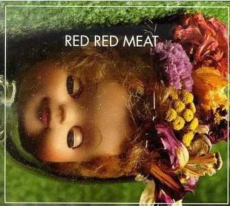 Album Red Red Meat: Bunny Gets Paid