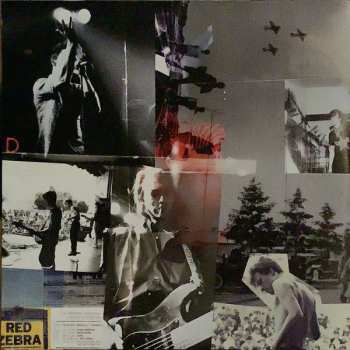 LP Red Zebra: Bastogne CLR | LTD | NUM