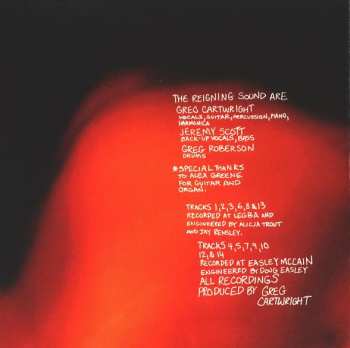 CD Reigning Sound: Too Much Guitar
