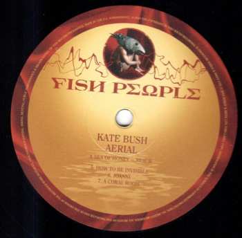 6LP/Dobozkészlet Kate Bush: Remastered In Vinyl III