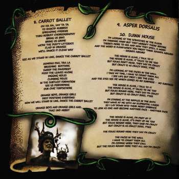 CD Renaldo & The Loaf: Gurdy Hurding