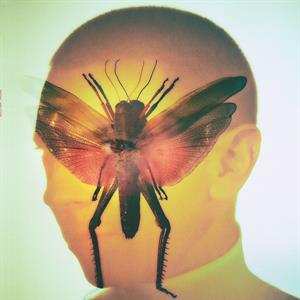 Album Maelstrom: Rhizome