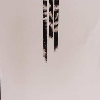 2LP Richard Müller: LSD