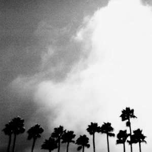 Album Richard Rose: Radiation Breeze