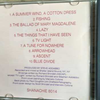 CD Richard Shindell: Blue Divide