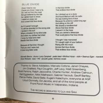 CD Richard Shindell: Blue Divide